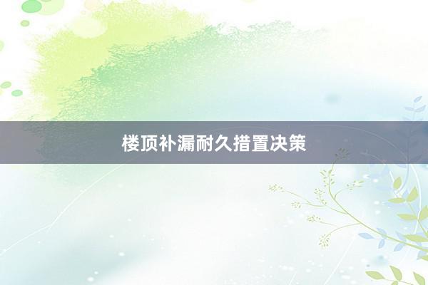 楼顶补漏耐久措置决策