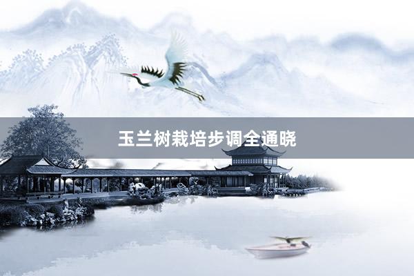 玉兰树栽培步调全通晓