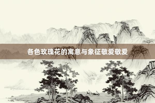各色玫瑰花的寓意与象征敬爱敬爱