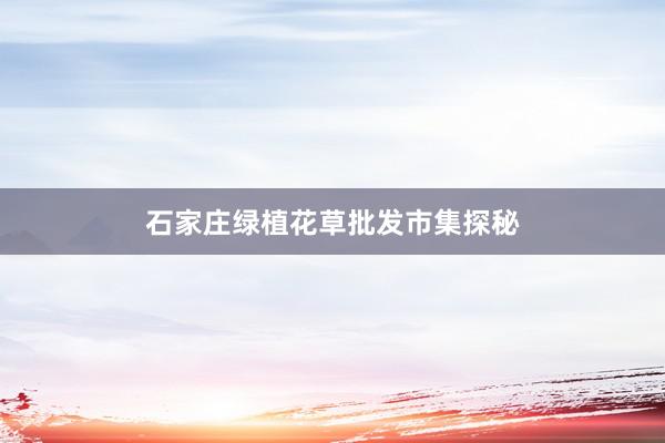 石家庄绿植花草批发市集探秘