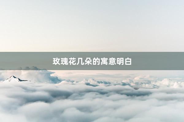 玫瑰花几朵的寓意明白